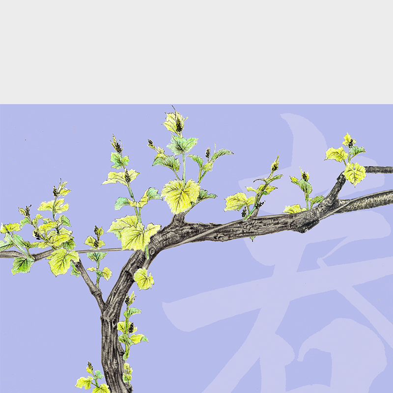 水色の背景に描かれた若葉のブドウの木と、「ヴィンヤード」のタイトル文字