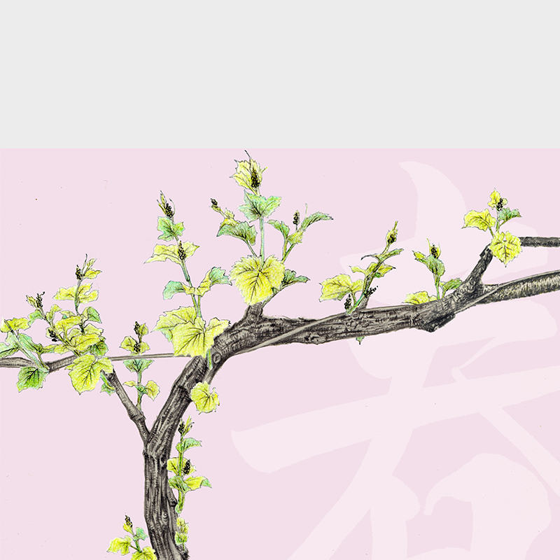 ピンクの背景に描かれた若葉のブドウの木と、「ワインリスト」のタイトル文字