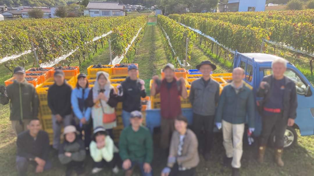 収穫を終えブドウ畑の前で並ぶ人達