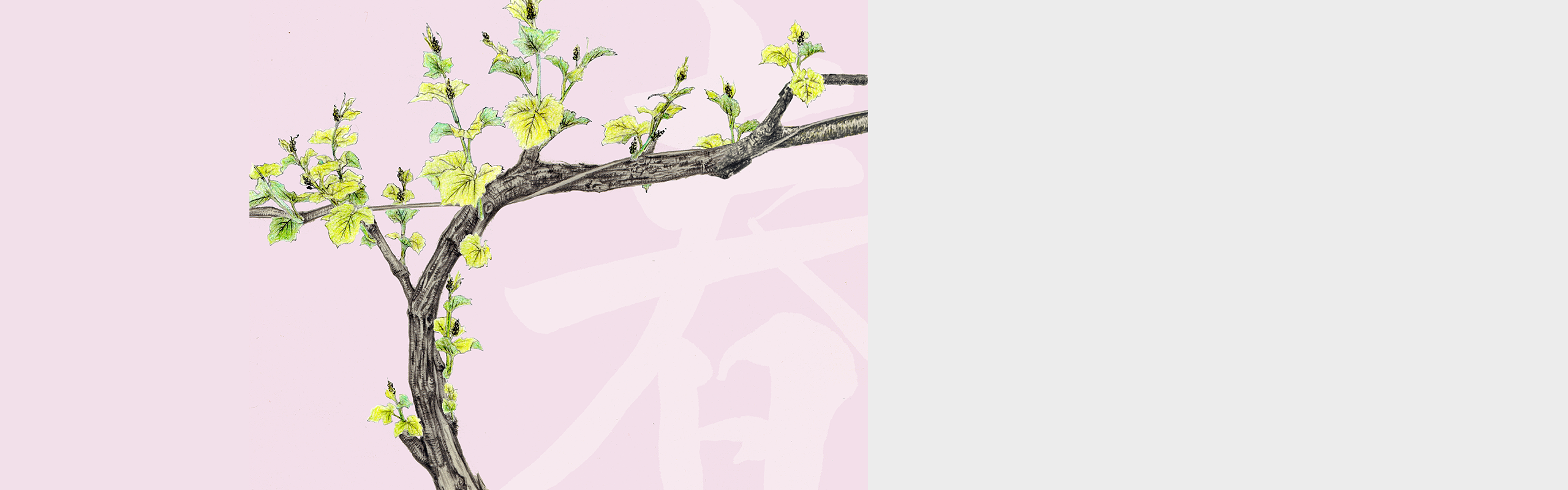 ピンクの背景に描かれた若葉のブドウの木と、「ワインリスト」のタイトル文字